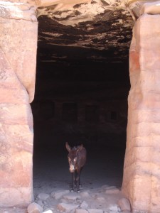 Otro tipo de guardián de la puerta.