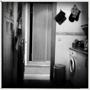 Instagrafías: Pájaros